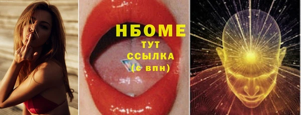 индика Алексин
