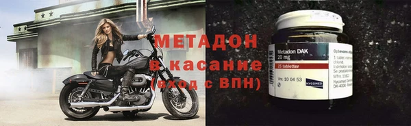 индика Алексин