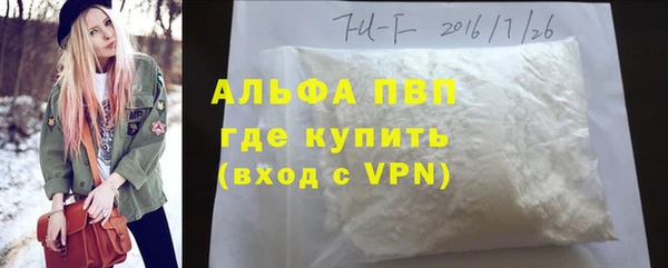 индика Алексин