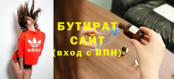 индика Алексин