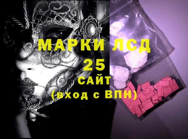индика Алексин