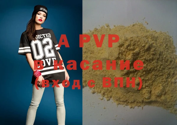 индика Алексин