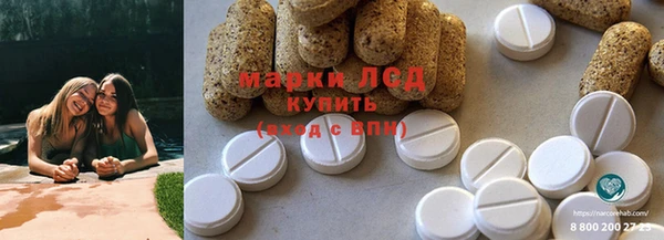 индика Алексин