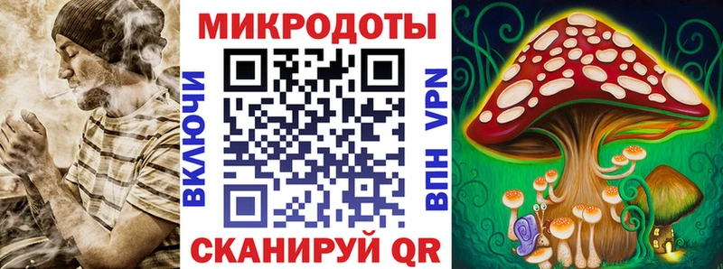 Галлюциногенные грибы MAGIC MUSHROOMS где найти блэк спрут онион Моздок